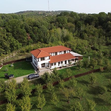 Pensiunea Emelys, Iasi Barnova Esterno foto