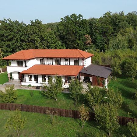 Pensiunea Emelys, Iasi Barnova Esterno foto