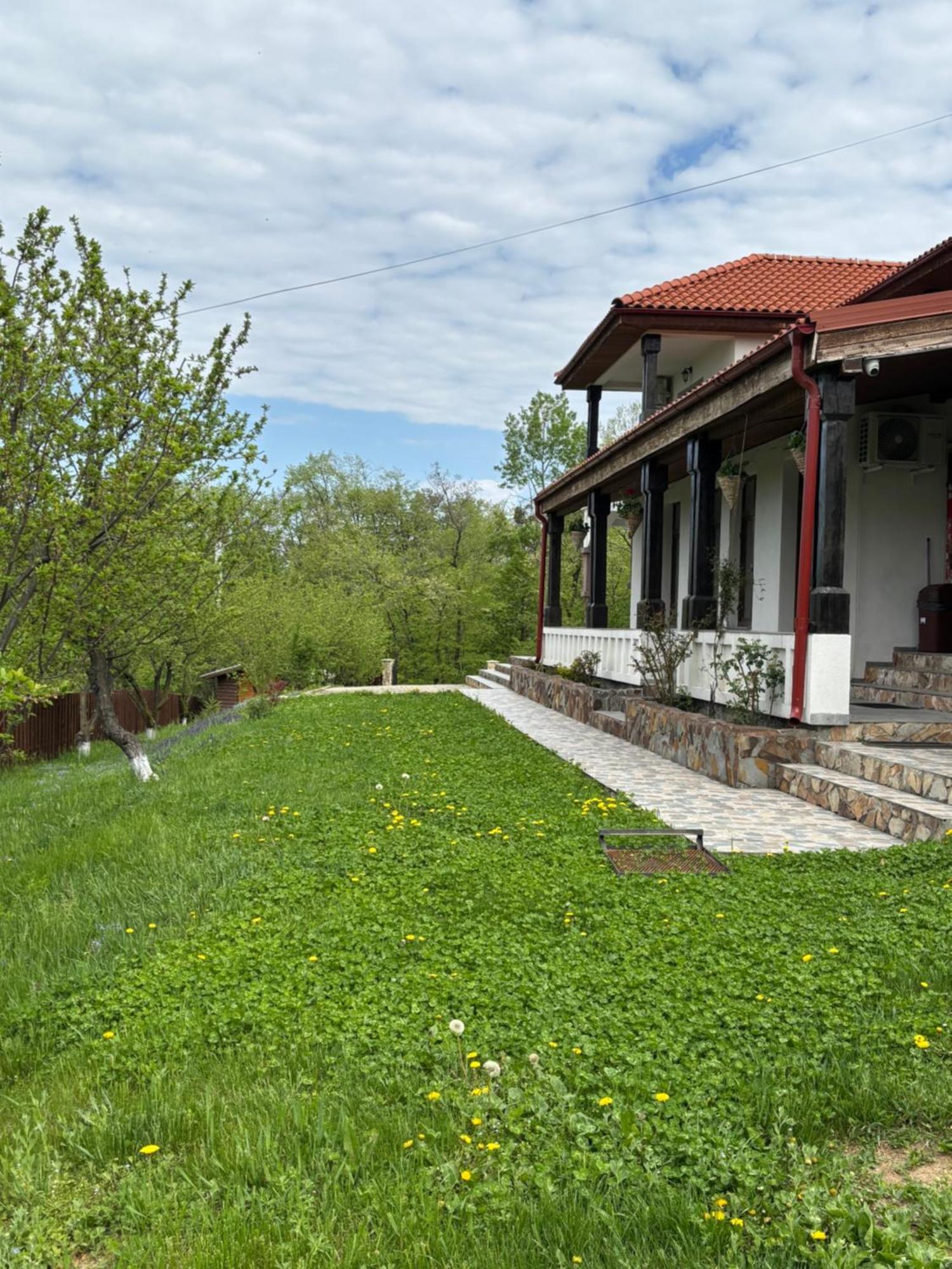 Pensiunea Emelys, Iasi Barnova Esterno foto