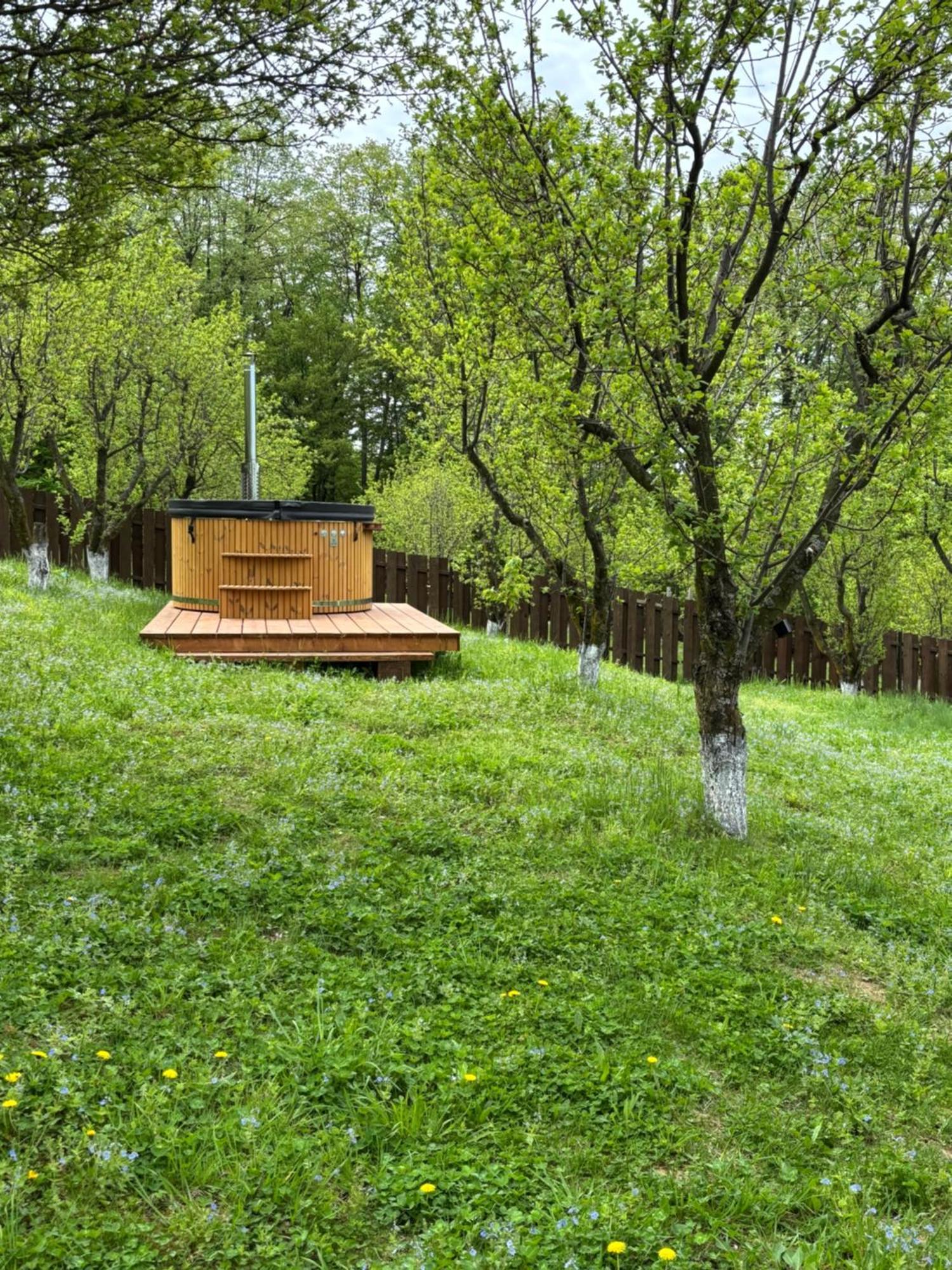 Pensiunea Emelys, Iasi Barnova Esterno foto