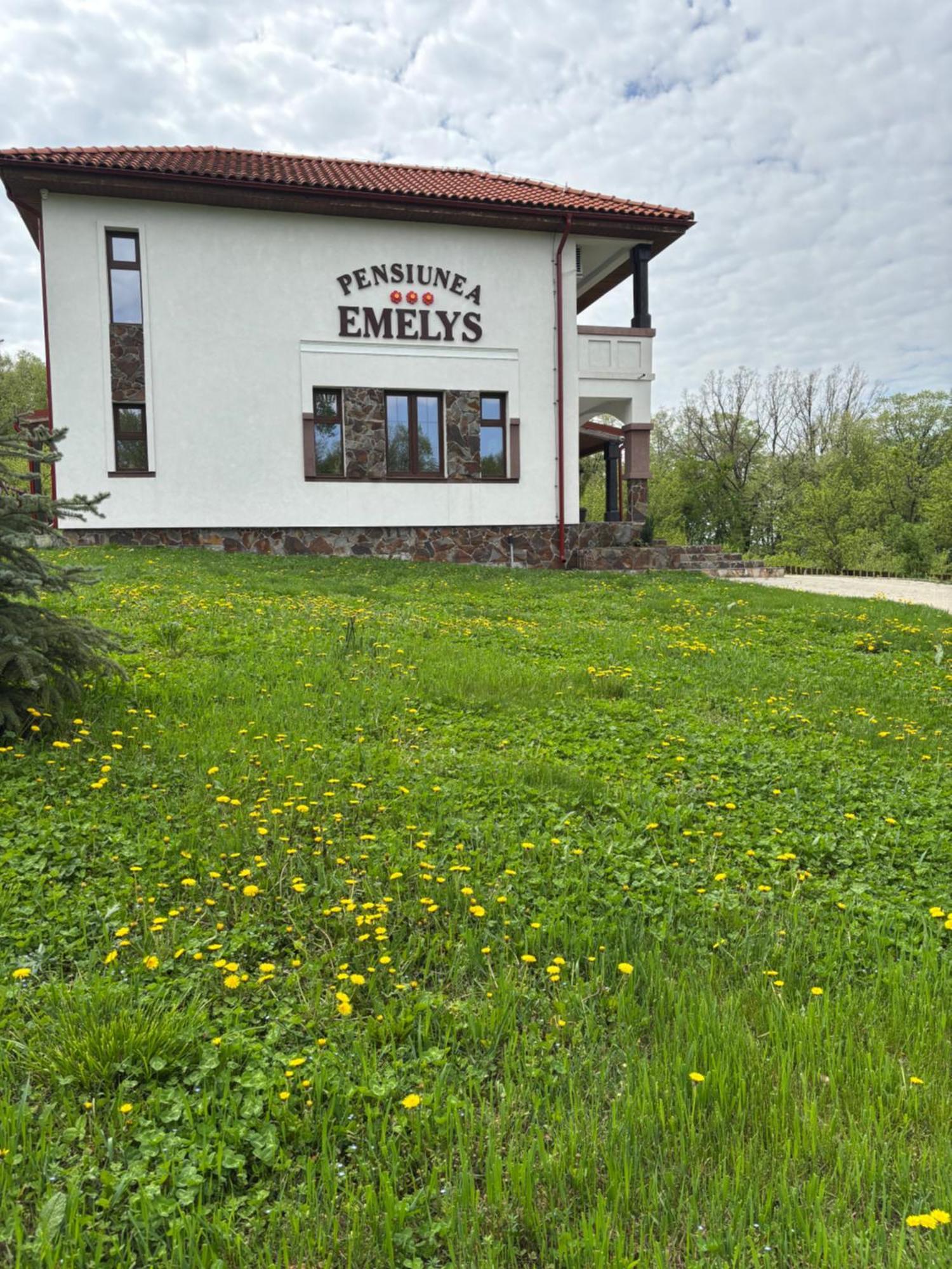 Pensiunea Emelys, Iasi Barnova Esterno foto